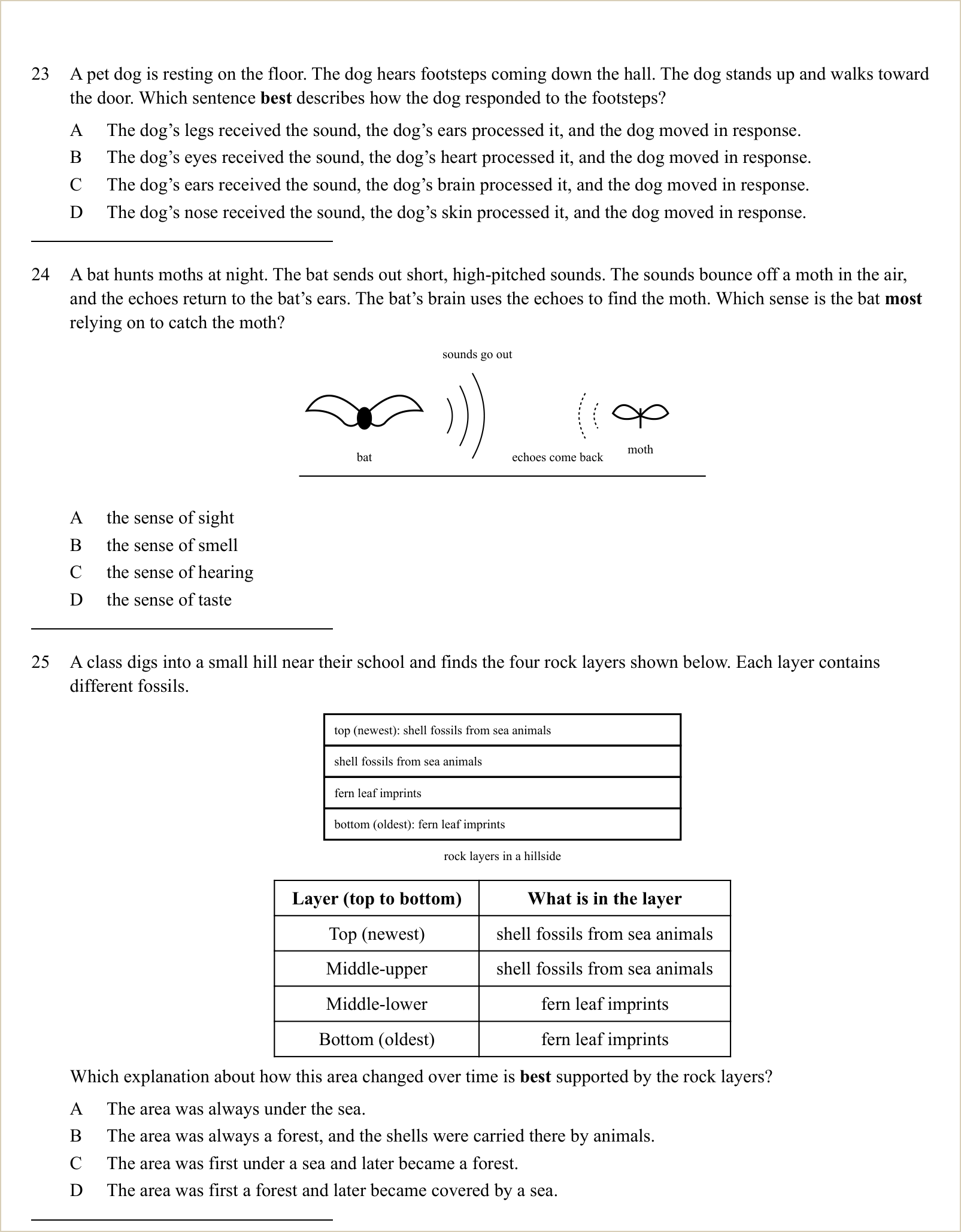 A full question page from Practice Test 1