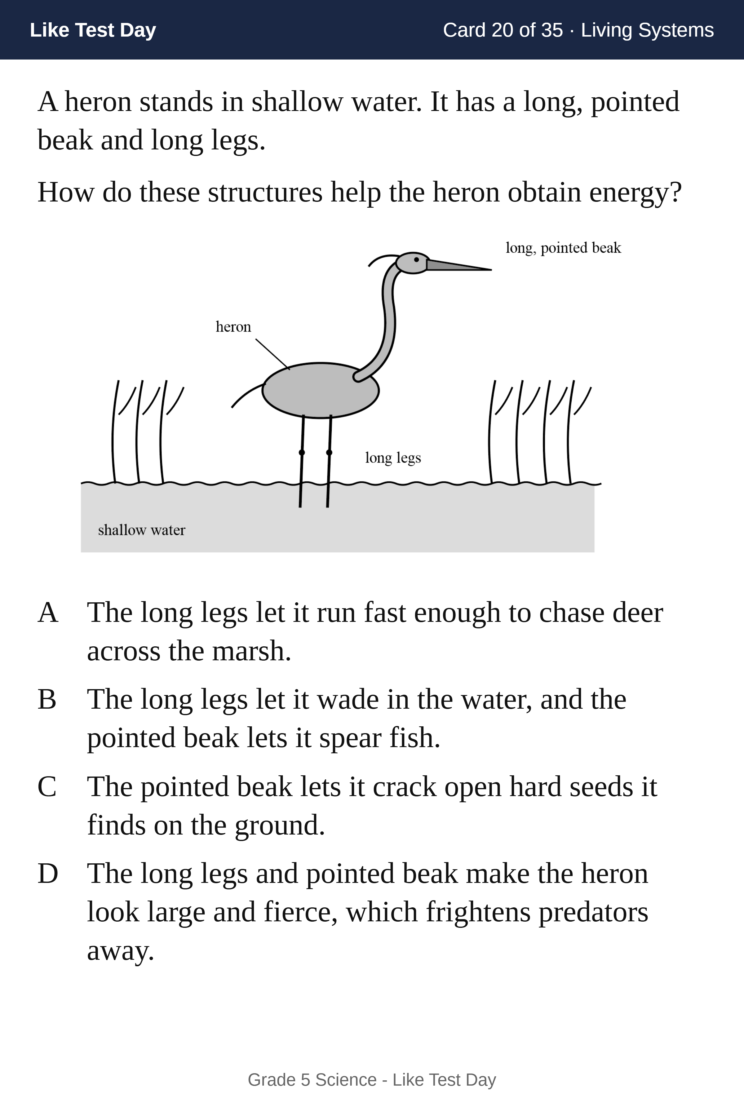 Flashcard front: a test-style science question with a labeled drawing and four answer choices