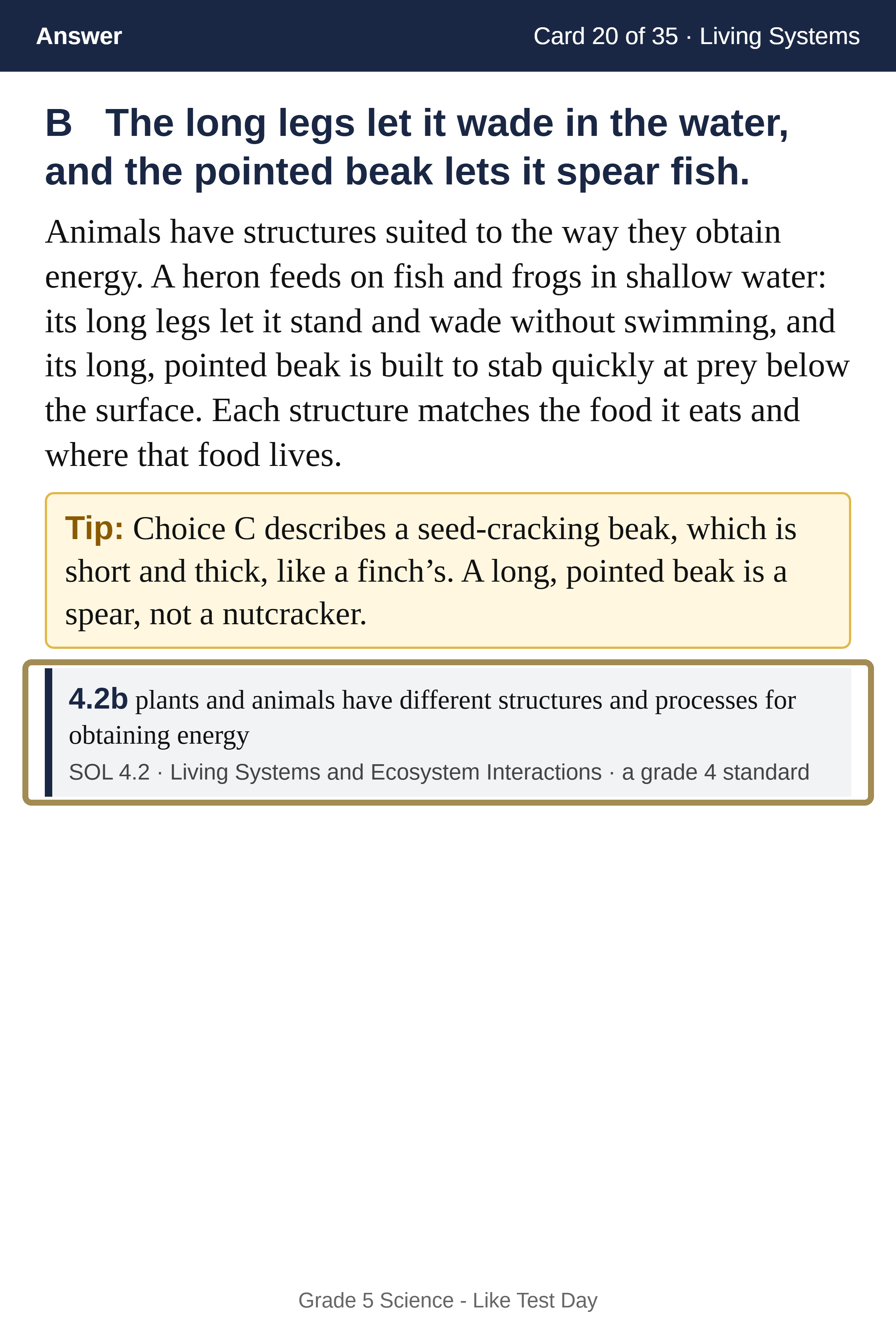 Flashcard back: the correct answer, an explanation, a highlighted Tip, and the standard it tests