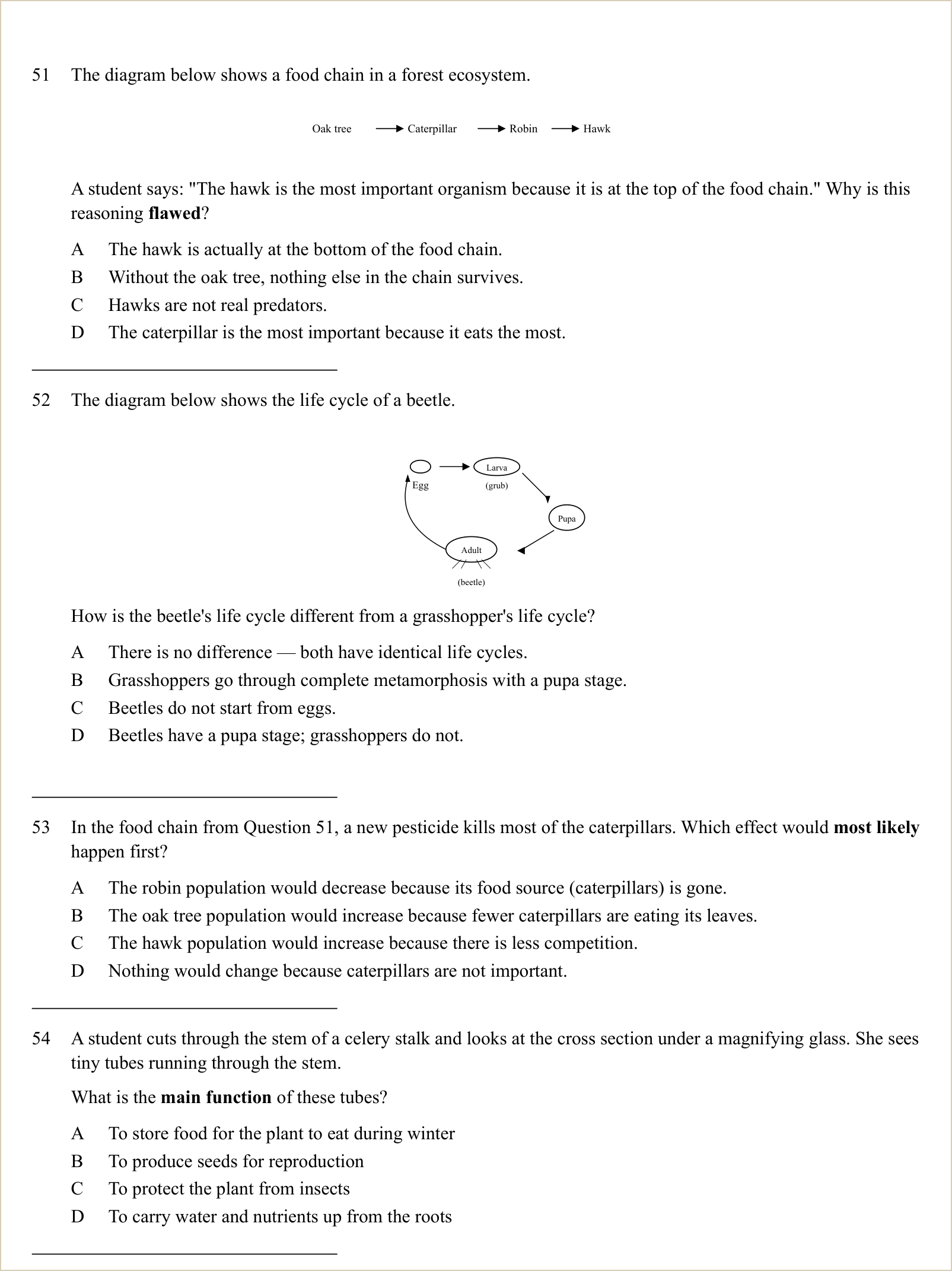 A full question page from a later practice test