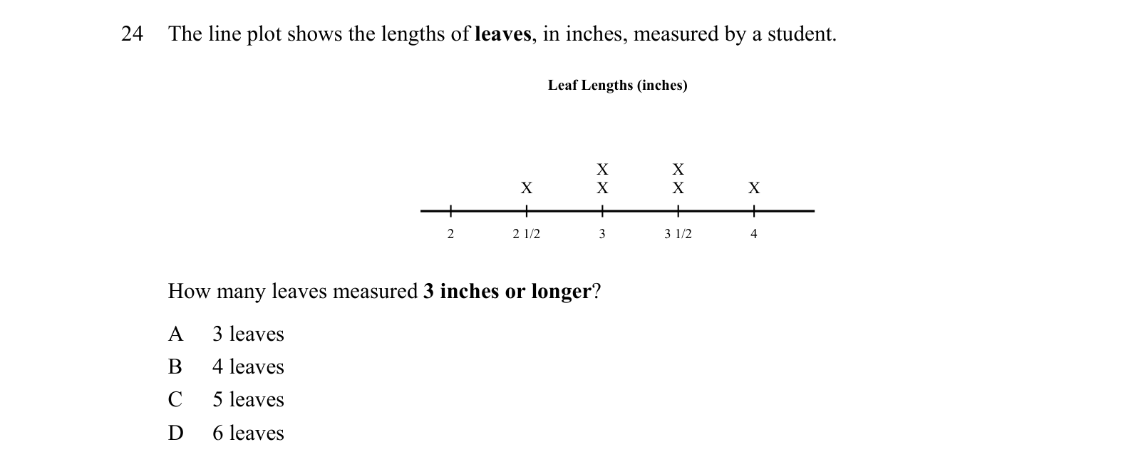 Practice question 24, built on a line plot: The line plot shows the lengths of leaves, in inches, measured by a student.